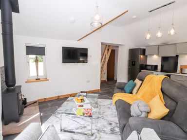 A living room with a gray sofa and yellow throw in an open plan kitchen at Lands Brow Lodge in Wigton