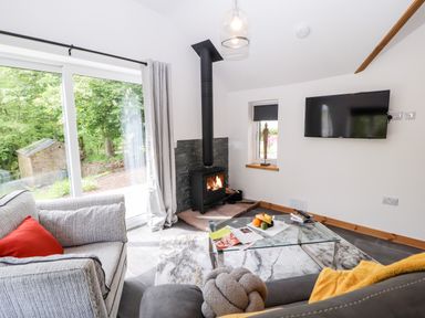 A living room with a grey sofa red cushion wood stove glass coffee table and wall mounted TV at Lands Brow Lodge in Wigton