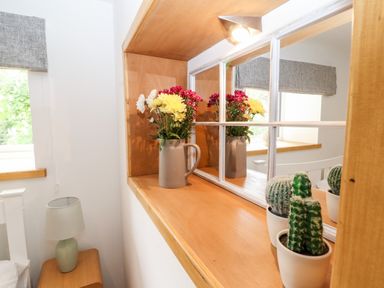 A wooden shelf with a vase of flowers and two potted cacti next to a window with grey blinds at Lands Brow Lodge in Wigton