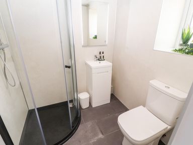 A bathroom with a shower, sink with a mirror, toilet, and a window with plants at Lands Brow Lodge in Wigton