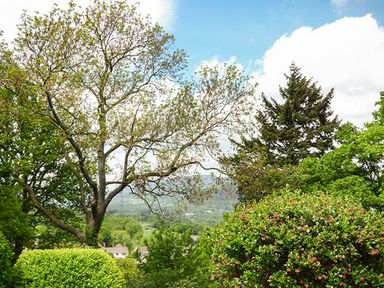 A landscape with various trees and bushes overlooking a distant view of houses and hills at Treetops in Govilon near Abergavenny