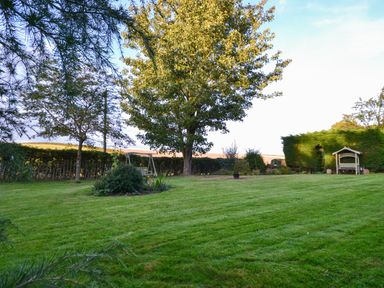 A garden with a large tree a swing and a bench surrounded by hedges at Lavender Cottage in Market Weighton