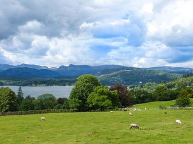 A field with sheep and trees near a lake with hills in the background at Thompson Cottage in Ambleside