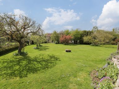 A garden with a tree and flowerbed in front of a house at Shephard's Retreat in Charlton Mackrell near Somerton