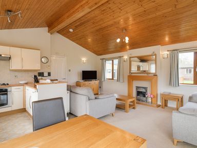 An open living room and kitchen with wooden ceiling and furniture at High Tide in Rock