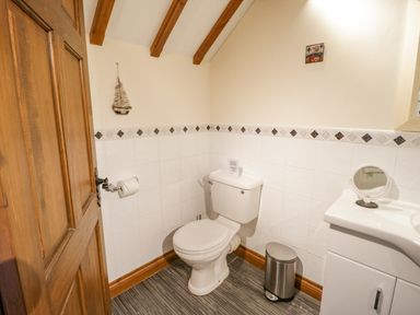 A bathroom with a toilet a wooden door a trash bin and a sink with a mirror at The Old Barn in Llanferres near Ruthin