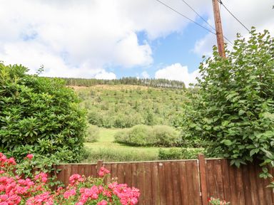 A wooden fence with pink flowers in front and green bushes on each side with a hillside and trees in the background at The Old Barn in Llanferres near Ruthin