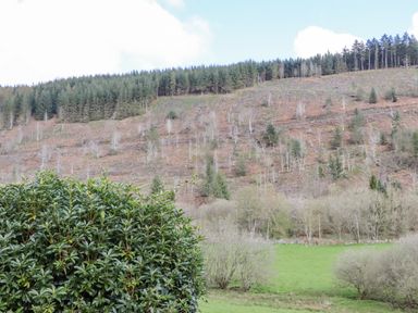 A hillside with trees and green grass in the foreground at The Old Barn in Llanferres near Ruthin