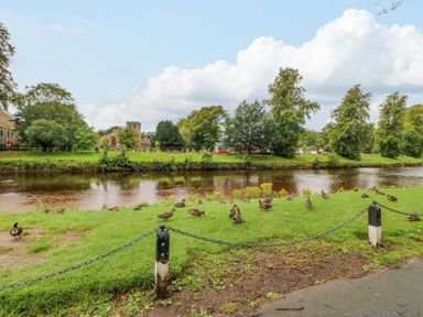 A river with ducks on grassy bank and trees in a park at Blacksmith Cottage in Appleby-in-Westmorland