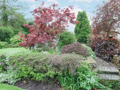 A garden with various shrubs trees and a birdhouse at Blacksmith Cottage in Appleby-in-Westmorland