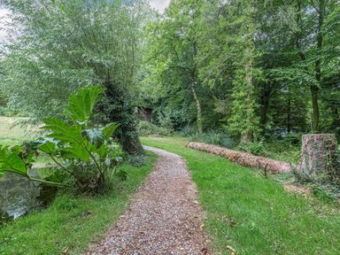 A gravel path winding through a green wooded area with trees a small pond and a wooden cabin in the background at Lakeside Cabin in Sheldon Blackdown Hills