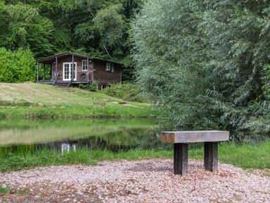 A wooden cabin by a pond with a bench in the foreground surrounded by trees at Lakeside Cabin Sheldon Blackdown Hills