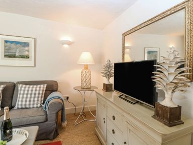 A living room with a gray sofa with checkered pillows a side table with a lamp a television on a cabinet with decorative items a framed picture on the wall at Bridge Cottage in Aylsham