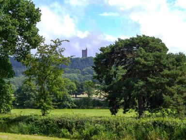 A grassy field with various trees and a distant tower on a hilltop at Magpie Cottage in South Brewham