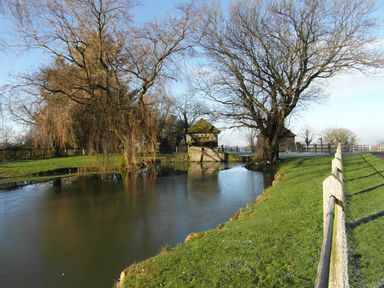 A pond with two leafless trees and a wooden structure on the bank surrounded by grass and a fence at Magpie Cottage in South Brewham