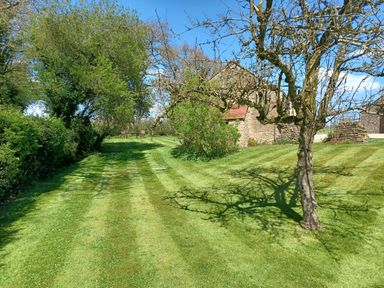 A garden area with a trimmed lawn a leafless tree and stone buildings at Magpie Cottage South Brewham