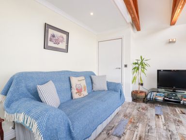 A living room with a blue covered sofa three cushions a potted plant a TV on a glass stand and a wall painting at Chapel Green Studio 2 in Polgooth