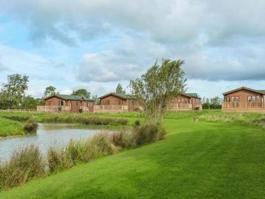 Wooden lodges near a pond with grassy area and trees at Morgan Lodge in Hewish near Weston-super-Mare