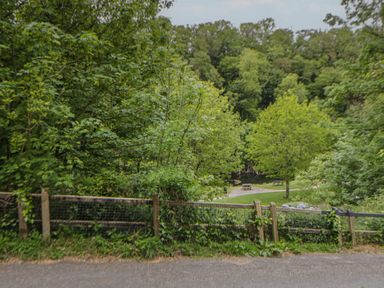 A view of trees and picnic tables with a gravel path at Teifi House in Cilgerran near Cardigan