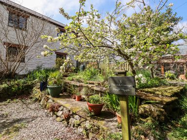 A garden with potted plants and a blossoming tree near a stone pathway and a white house at The Ark Cottage in St Blazey