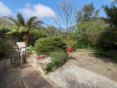 An outdoor patio area with garden chairs and table surrounded by bushes trees and plants at The Ark Cottage in St Blazey