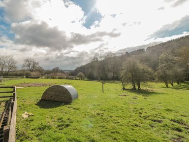 A grassy field with a small metal and wood shelter a wooden fence and trees in the background at Ericas eaven in Farndale near Kirkbymoorside