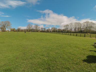 A large grassy field with a wooden fence and a few animals grazing under a blue sky with clouds at Ericas eaven Farndale near Kirkbymoorside
