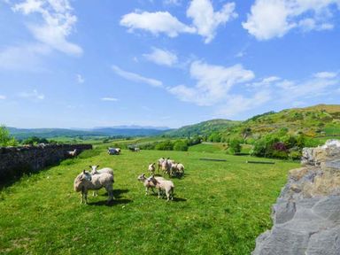 A green field with sheep and stone walls under a blue sky at High House in Newton in Cartmel near Cartmel