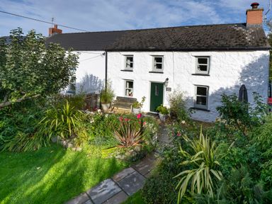 A white cottage with four windows a green door a bench and a garden with plants and flowers at Fern Cottage in Aberporth