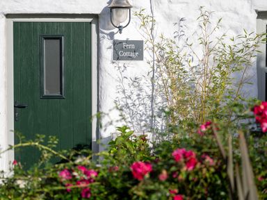 A green door with a rectangular window and a sign saying Fern Cottage on a white wall with plants in front at Fern Cottage in Aberporth