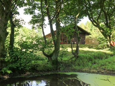 A wooden cabin behind trees near a small pond at Pond Farm Woodlands in Ugthorpe