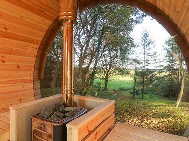 The interior of a wooden sauna with a stove and rocks and a large window showing trees and grass outside at Pond Farm Woodlands in Ugthorpe