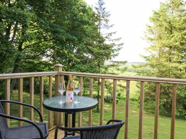 A balcony with a round glass table, two chairs, a bottle of wine, and two wine glasses overlooking a grassy area and trees at Pond Farm Woodlands in Ugthorpe