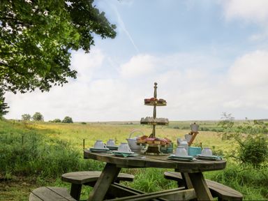 A picnic table set with tea cups plates and a tiered tray of snacks in a field at Pond Farm Woodlands in Ugthorpe