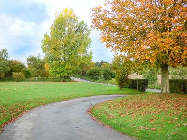 A curved paved driveway with fallen leaves and trees with autumn foliage in a green garden at Glenhaven Sweffling near Snape