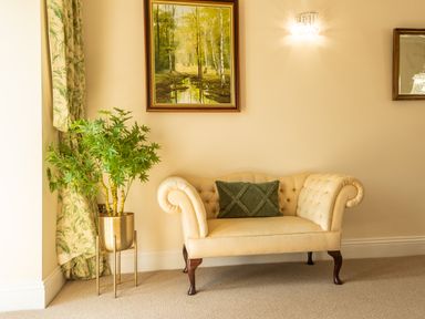 A beige sofa with a green pillow beside a plant in a gold pot and a painting on the wall at Old Rectory House in Caersws