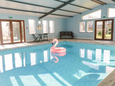 An indoor swimming pool with a pink flamingo float a bench and a table with two chairs at Old Rectory House in Caersws