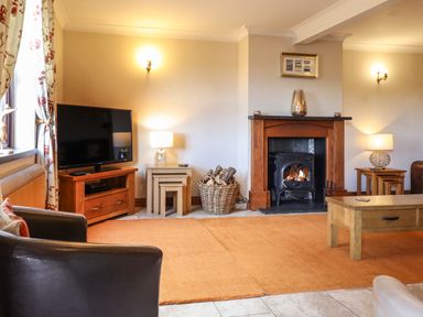 A living room with a fireplace a television and wooden furniture at Ty Newydd in Llangadfan
