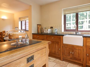 A kitchen with wooden cabinets a white sink a toaster kettle and a cake on a glass stand at Ty Newydd in Llangadfan