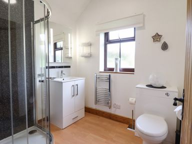 A bathroom with a shower cubicle a sink cabinet a window a heated towel rail and a toilet at Ty Newydd in Llangadfan