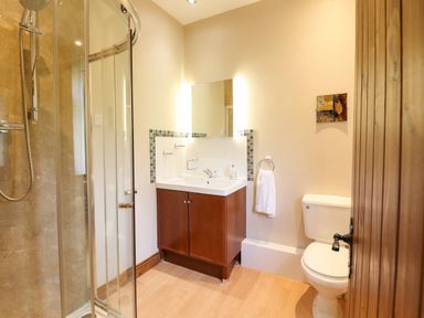 A bathroom with a shower enclosure sink with a cabinet toilet and a wooden door at Ty Newydd in Llangadfan