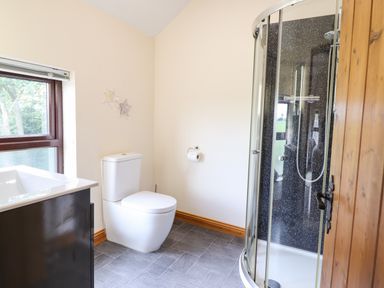 A bathroom with a toilet sink and a curved glass shower at Ty Newydd in Llangadfan