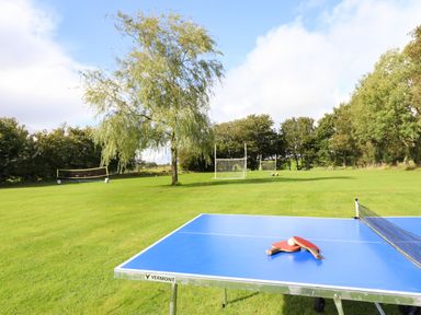 An outdoor grassy area with a blue ping pong table and paddles a tree nets for badminton and soccer goals at Ty Newydd in Llangadfan