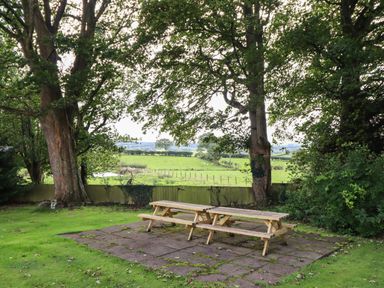 Two wooden picnic tables on a paved area with grass and large trees in a garden at Ty Newydd in Llangadfan
