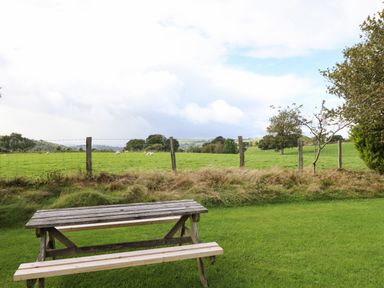 A wooden picnic table on grass near a wire fence with sheep grazing in a field at Ty Newydd in Llangadfan