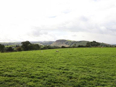 A green pasture with sheep and trees in the distance with hills under a cloudy sky at Ty Newydd in Llangadfan