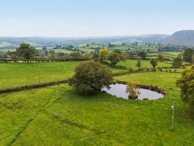 A field with a pond and trees at Ty Newydd in Llangadfan