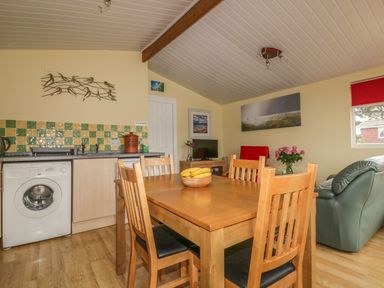 A dining area with wooden table and chairs a washing machine and green armchair in a living room at Tiggy Winkle in St Merryn near Padstow