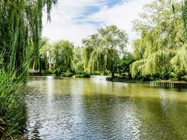 A body of water surrounded by willow trees and greenery at Grafton Mill in Grafton Flyford near Pershore