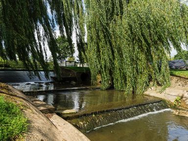 A river with a small waterfall and weeping willow trees overhanging near Grafton Mill in Grafton Flyford near Pershore